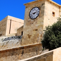 Malta (55)