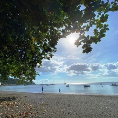 Martinique-3
