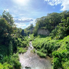 Martinique-44