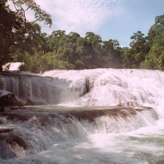 Mexico (16)
