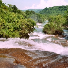 Mexico (17)