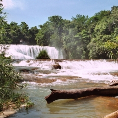 Mexico (19)