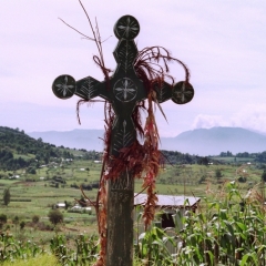 Mexico (20)