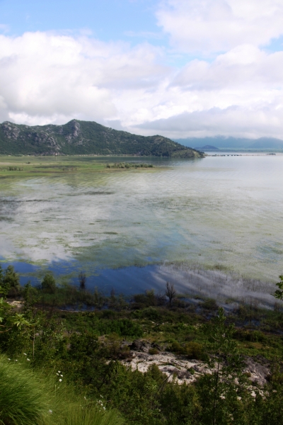 Montenegro (23)