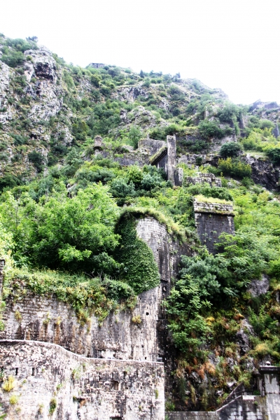 Montenegro (77)