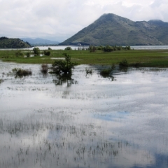 Montenegro (28)