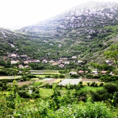 Montenegro (87)