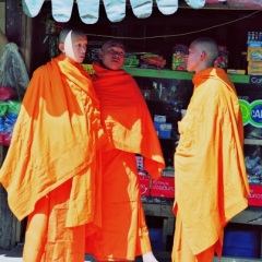 Myanmar (14)