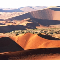 Namibie (19)