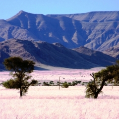 Namibie (52)