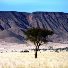 Namibie (53)