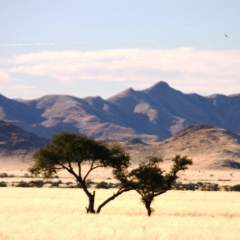 Namibie (54)