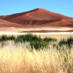 Namibie (56)