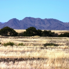 Namibie (57)