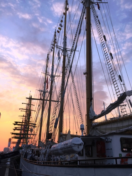 Netherlands - Amsterdam Sail (124)