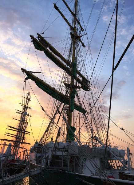 Netherlands - Amsterdam Sail (131)