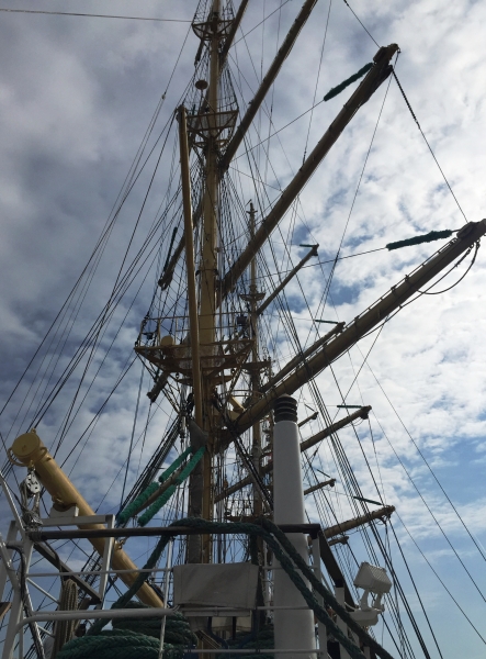 Netherlands - Amsterdam Sail (199)