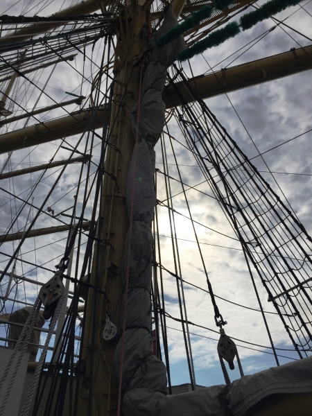 Netherlands - Amsterdam Sail (206)
