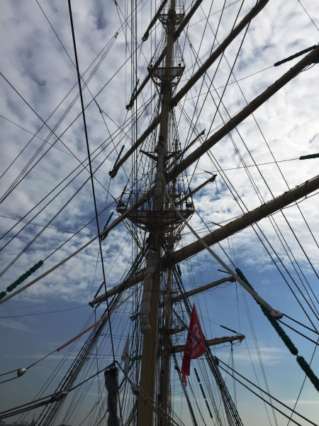 Netherlands - Amsterdam Sail (212)