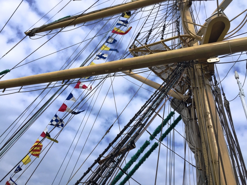 Netherlands - Amsterdam Sail (216)