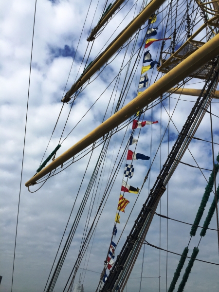 Netherlands - Amsterdam Sail (218)