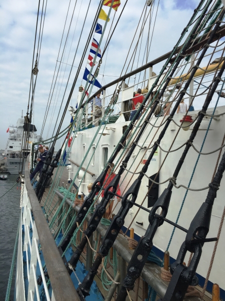 Netherlands - Amsterdam Sail (221)