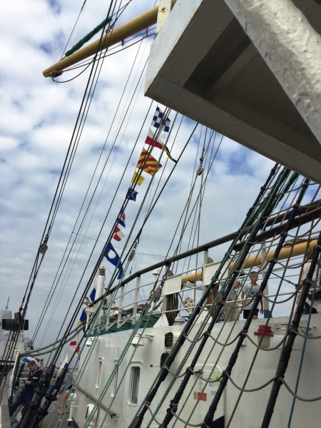 Netherlands - Amsterdam Sail (222)