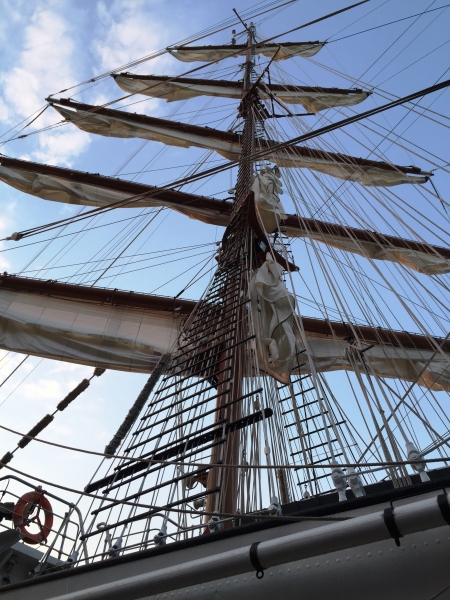 Netherlands - Amsterdam Sail (59)