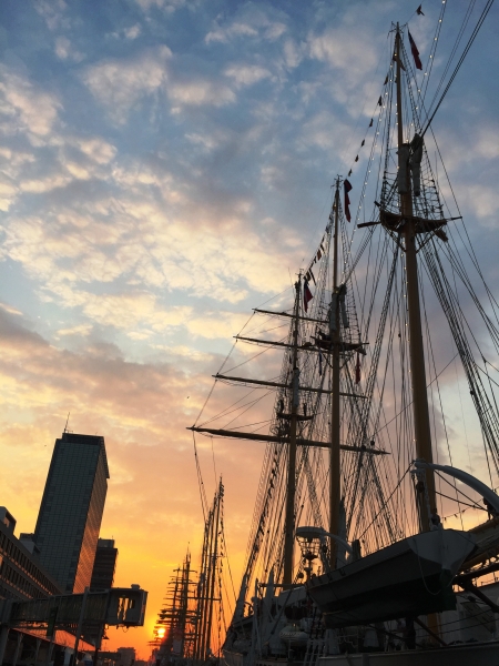Netherlands - Amsterdam Sail (98)