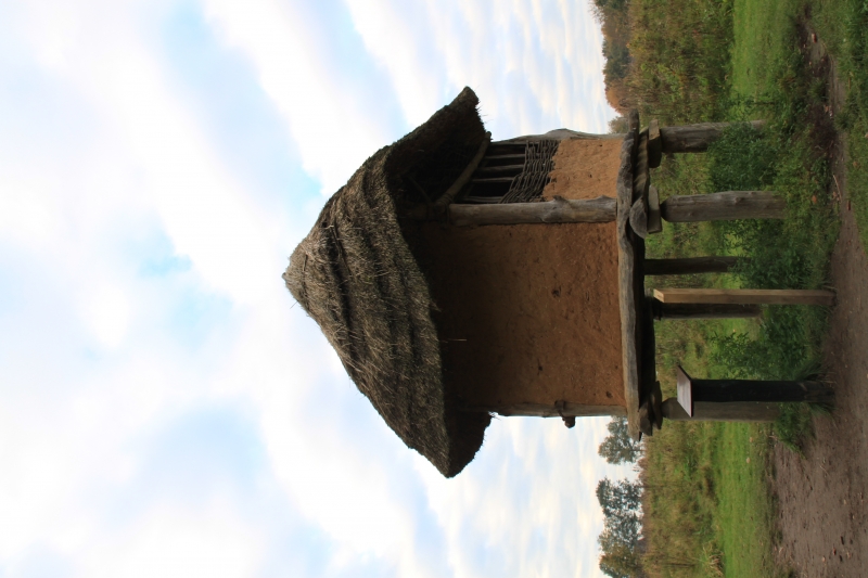 Netherlands, Drenthe (10)
