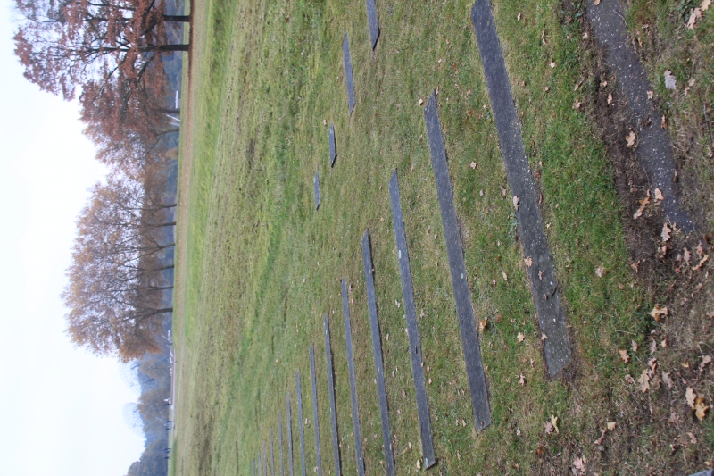 Netherlands, Drenthe (111)