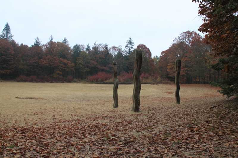Netherlands, Drenthe (135)
