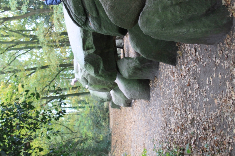 Netherlands, Drenthe (17)