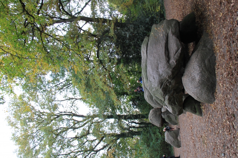 Netherlands, Drenthe (23)