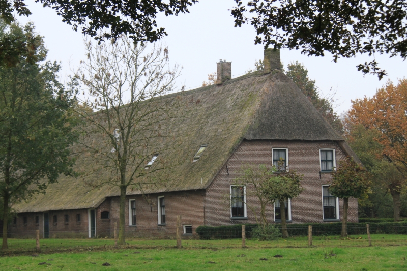 Netherlands, Drenthe (81)