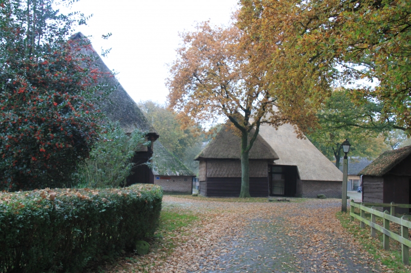 Netherlands, Drenthe (84)