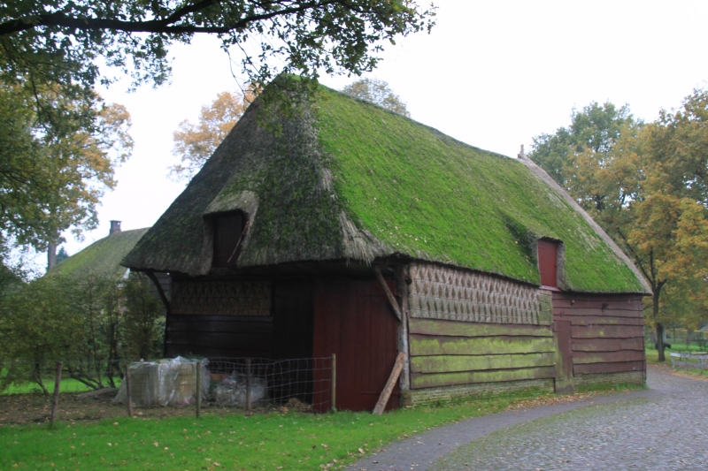 Netherlands, Drenthe (85)