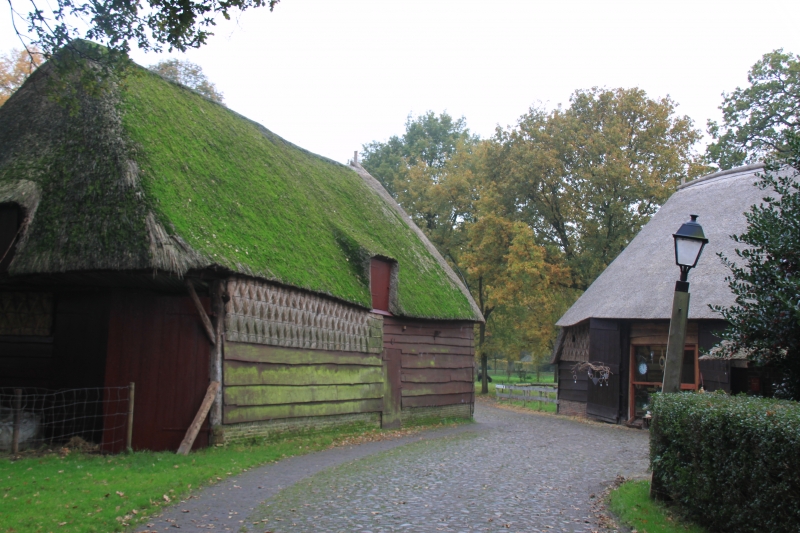 Netherlands, Drenthe (86)