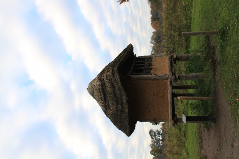 Netherlands, Drenthe (9)