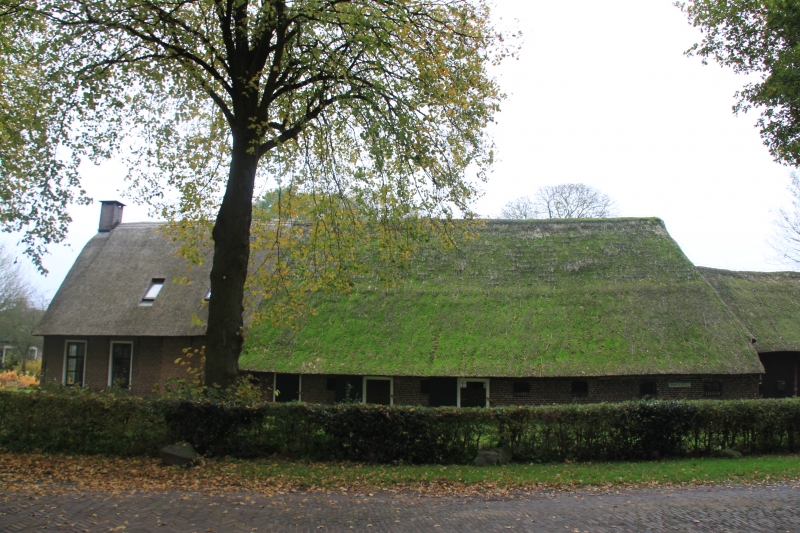 Netherlands, Drenthe (91)