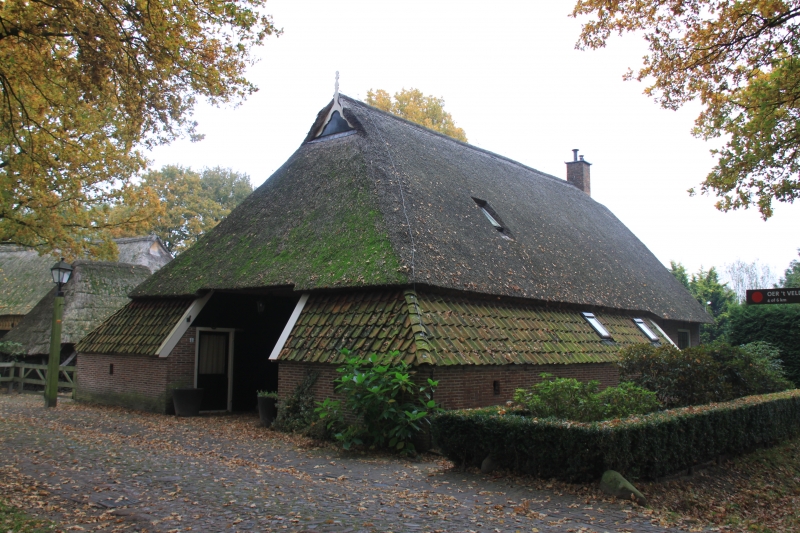 Netherlands, Drenthe (92)