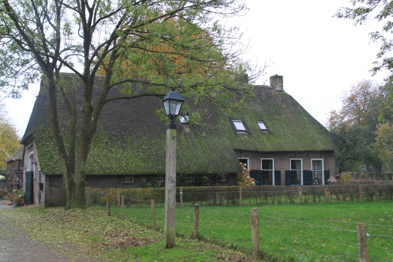 Netherlands, Drenthe (95)