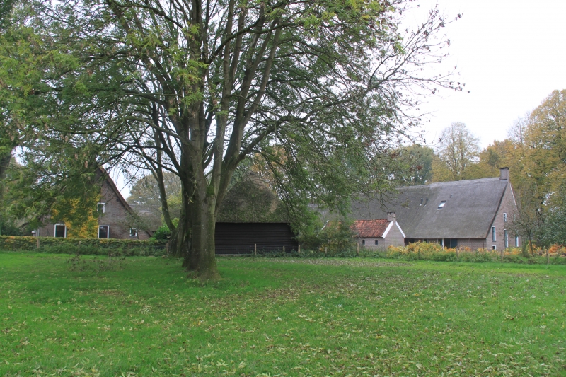 Netherlands, Drenthe (97)