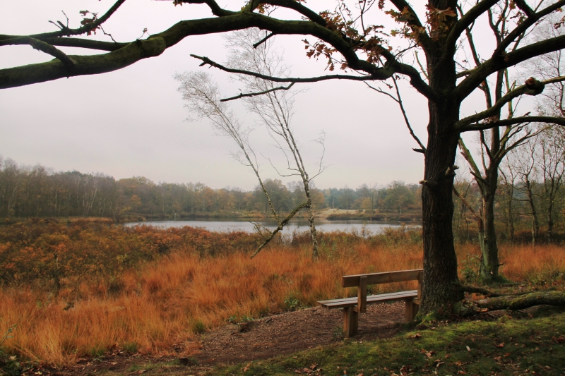 Netherlands - Nature (33)