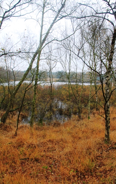 Netherlands - Nature (38)