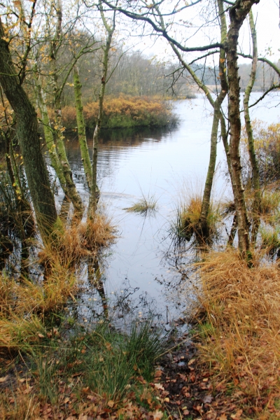 Netherlands - Nature (40)