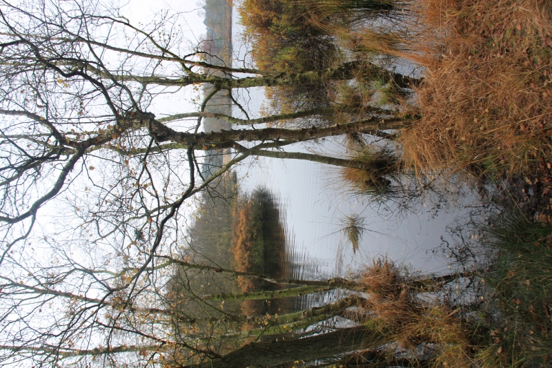 Netherlands - Nature (42)