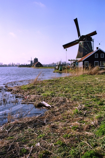 Netherlands - Several (8)