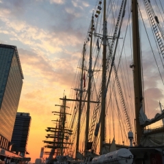 Netherlands - Amsterdam Sail (125)