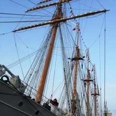 Netherlands - Amsterdam Sail (158)